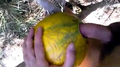 outdoor fun with melon