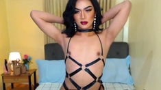 Small Tits Asian Amateur Trans Wanking On Webcam Show