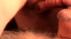 daddy bear sucking cock and cumming on his beard