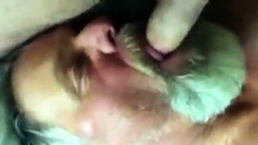 Daddy Blowing Strangers Cock